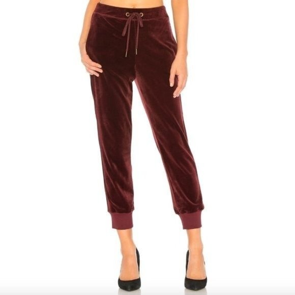 Sanctuary Pants - NEW NWT SANCTUARY Velour Track Jogger Burgundy Maroon Red Velvet Cropped Sweats